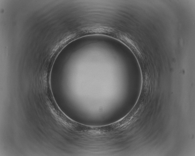 X0000083620394200702121146
