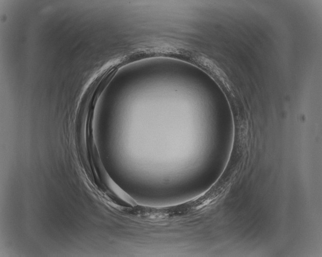 X0000083620395200702121146