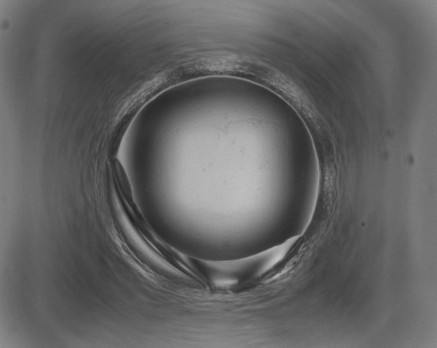 X0000083620397200702121146
