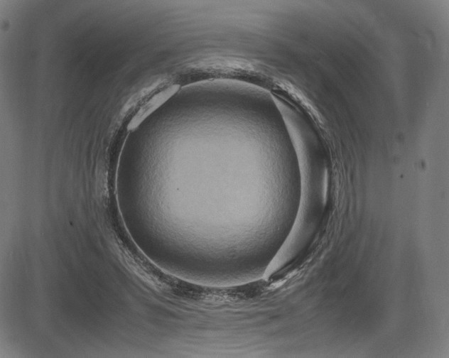 X0000083620399200702121145