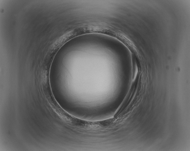 X0000083620401200702121145
