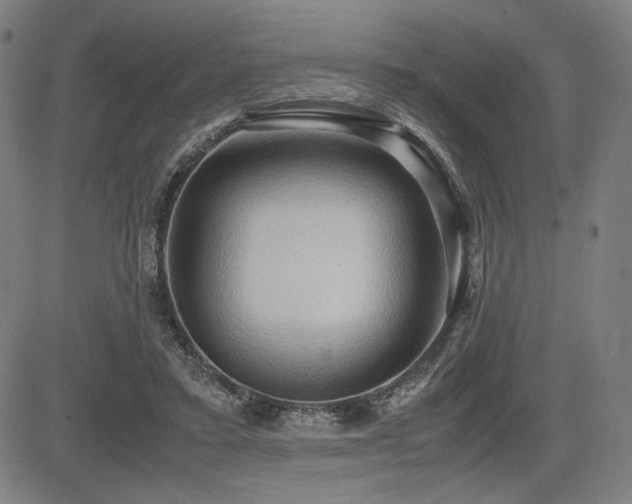 X0000083620403200702121145