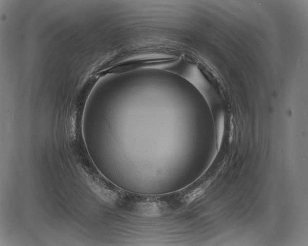 X0000083620404200702121145