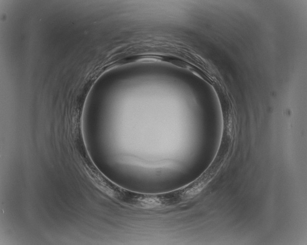 X0000083620409200702121145