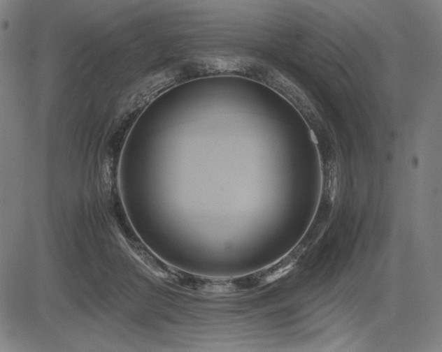 X0000083620410200702121145