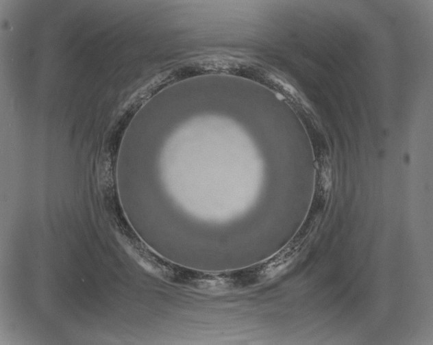 X0000083620411200702121145
