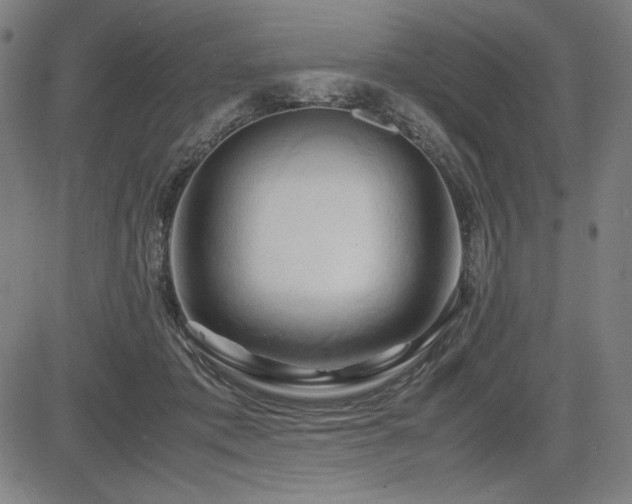 X0000083620413200702121145