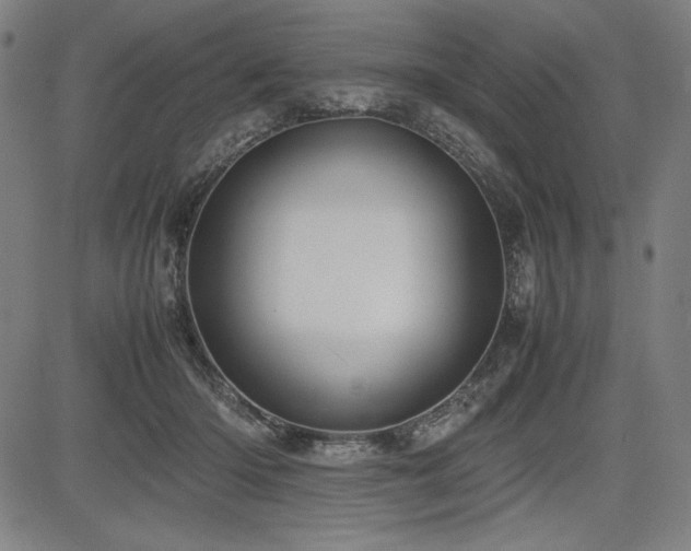 X0000083620414200702121145