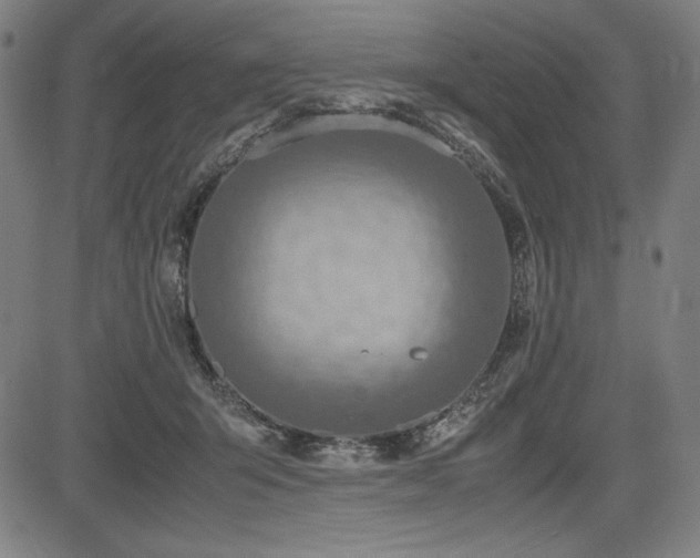 X0000083620415200702121145
