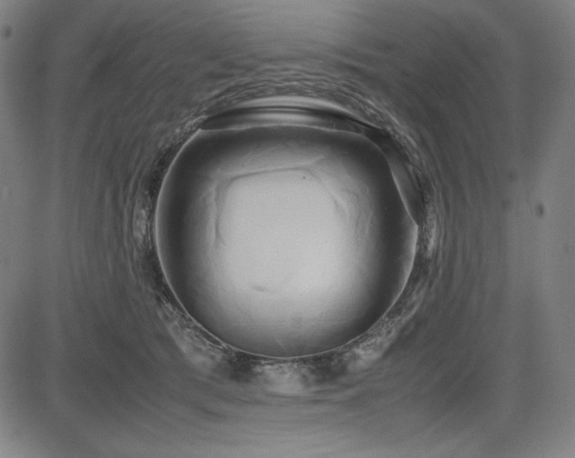 X0000083620417200702121145