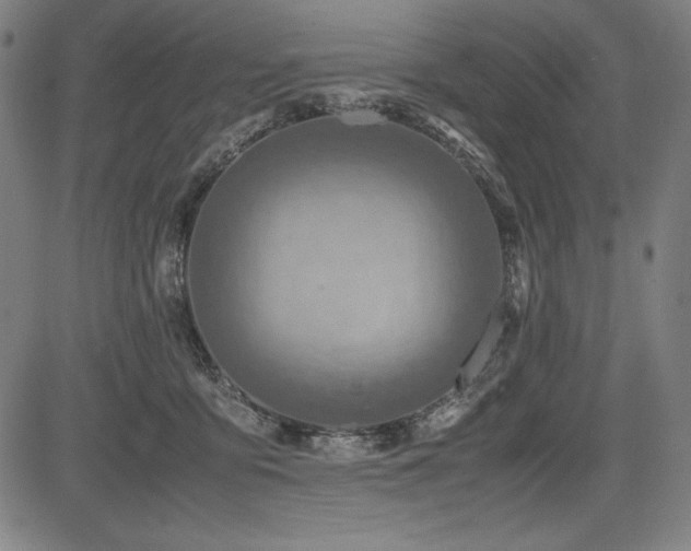 X0000083620419200702121145
