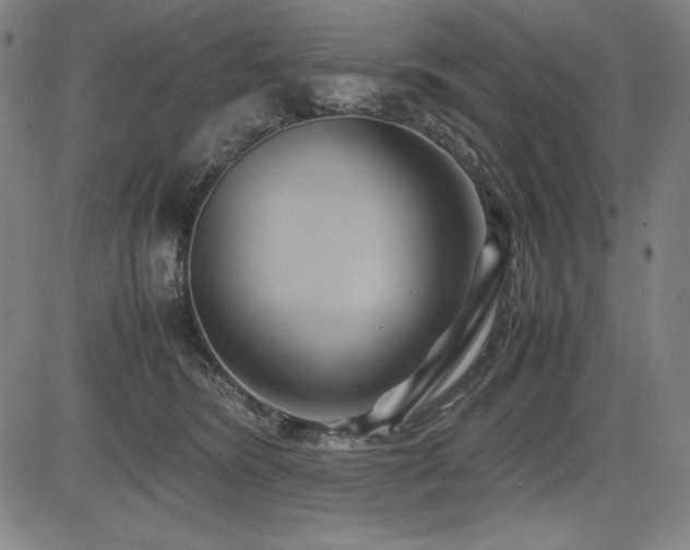 X0000083620420200702121145
