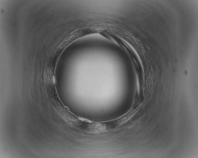 X0000083620421200702121145