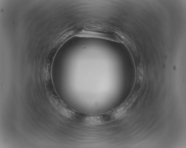 X0000083620422200702121145