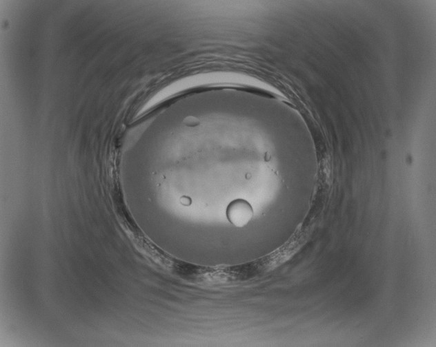X0000083620423200702121145