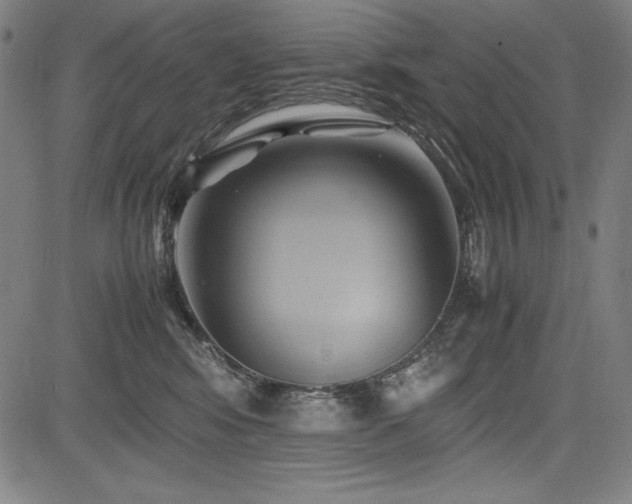 X0000083620424200702121145