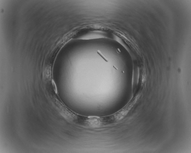 X0000083620425200702121145