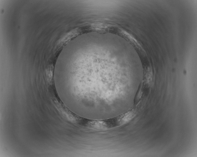 X0000083620427200702121145