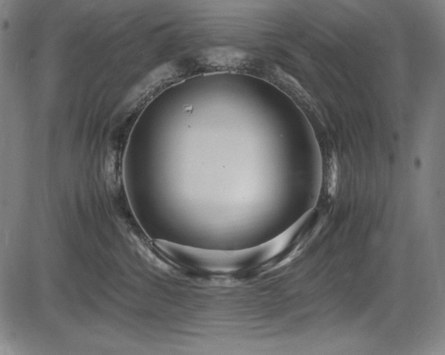 X0000083620428200702121145
