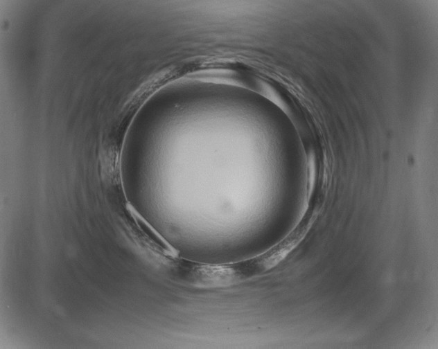 X0000083620429200702121145