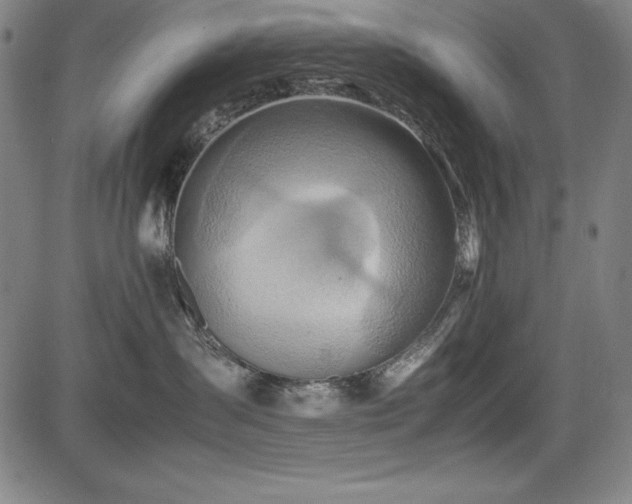 X0000083620431200702121145