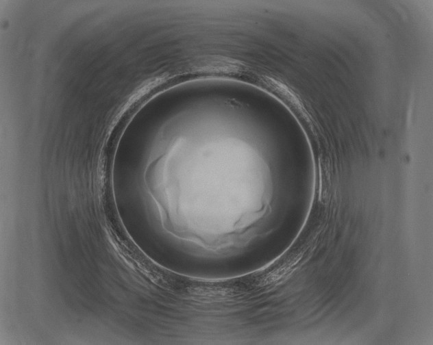 X0000083620435200702121144