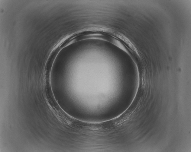 X0000083620436200702121144