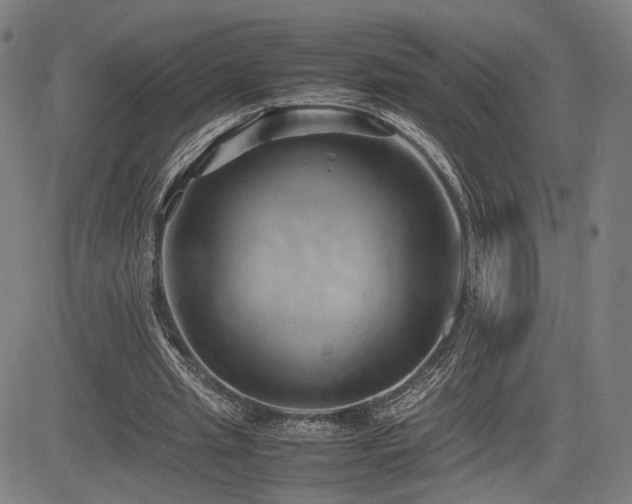 X0000083620437200702121144