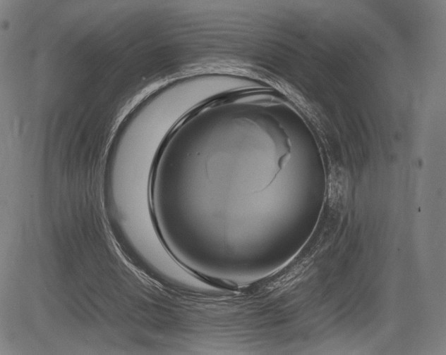 X0000083620438200702121144