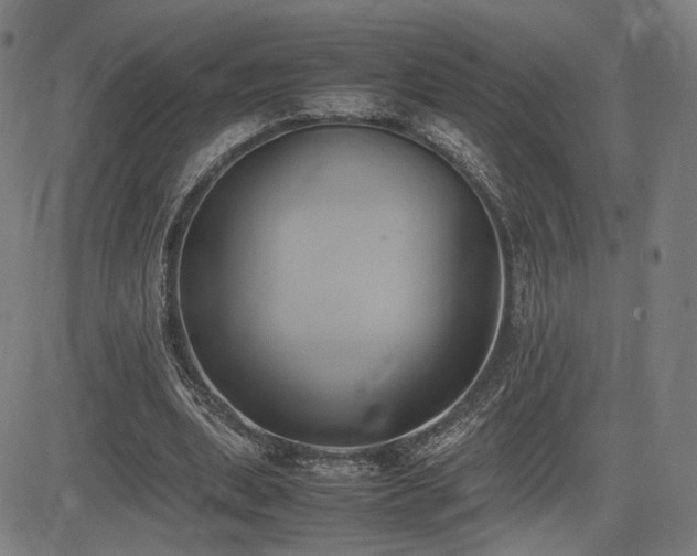 X0000083620439200702121144