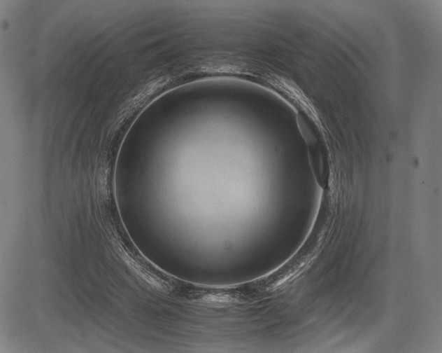 X0000083620441200702121144