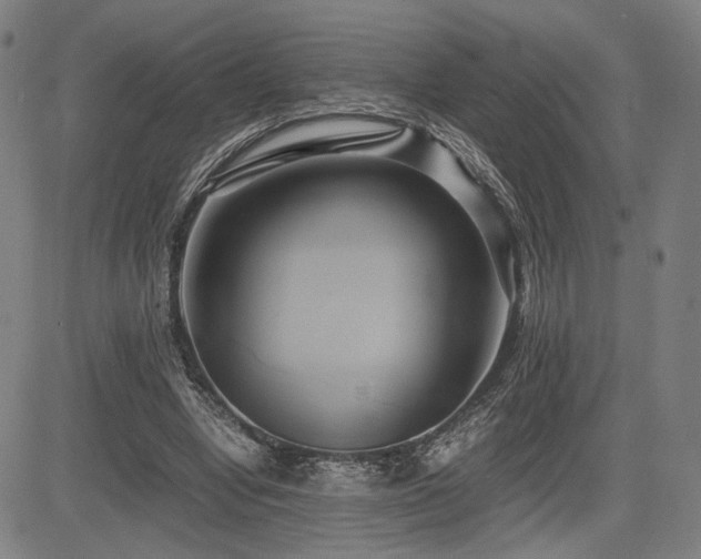 X0000083620442200702121144