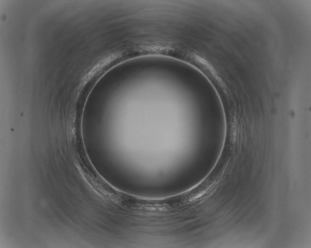 X0000083620443200702121144