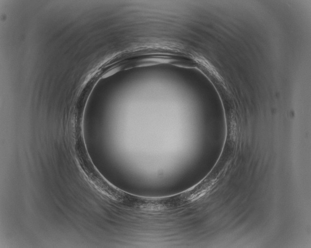 X0000083620444200702121144