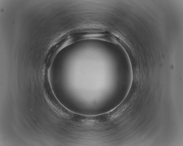 X0000083620448200702121144