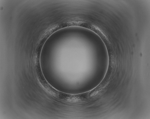 X0000083620451200702121144