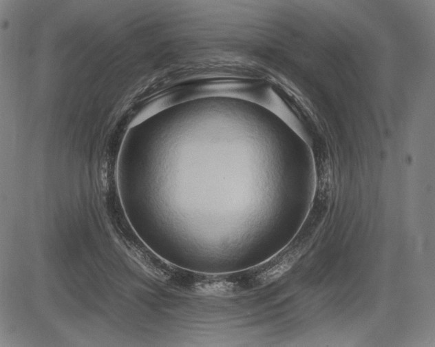 X0000083620452200702121144