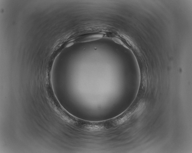 X0000083620453200702121144