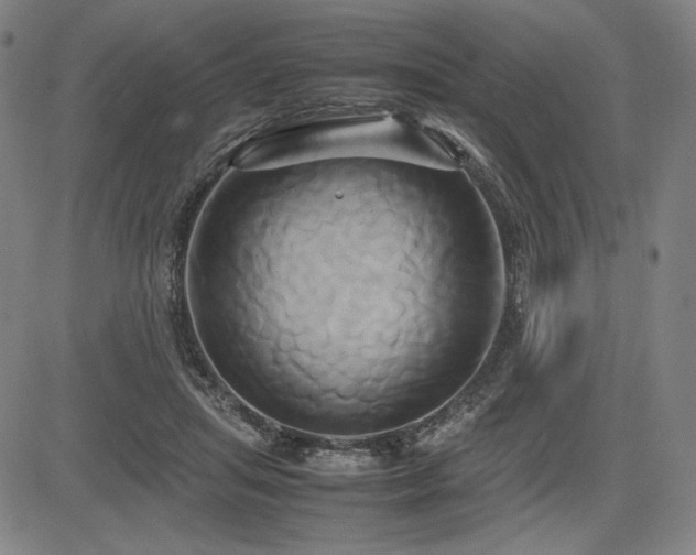 X0000083620455200702121145