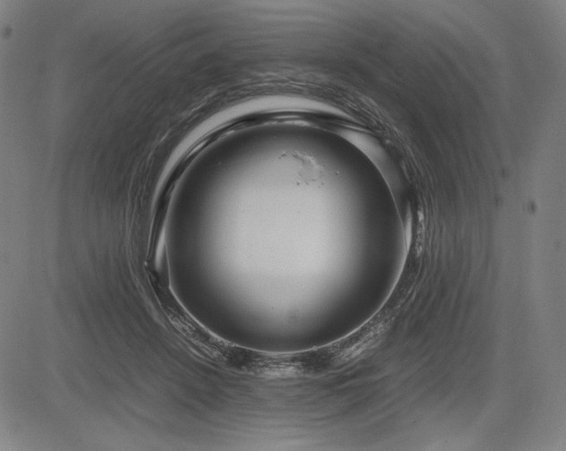 X0000083620456200702121145