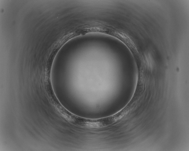 X0000083620457200702121145