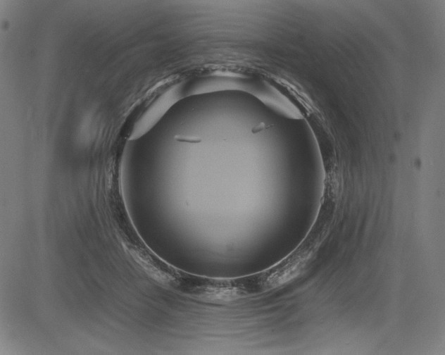 X0000083620458200702121145