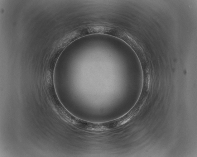X0000083620459200702121145