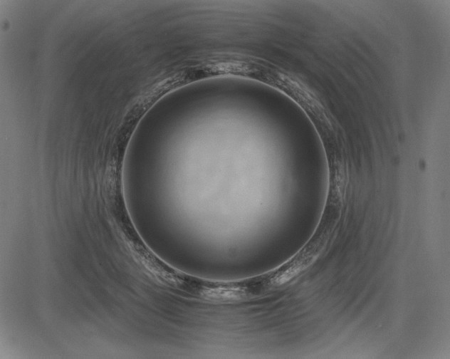 X0000083620461200702121145