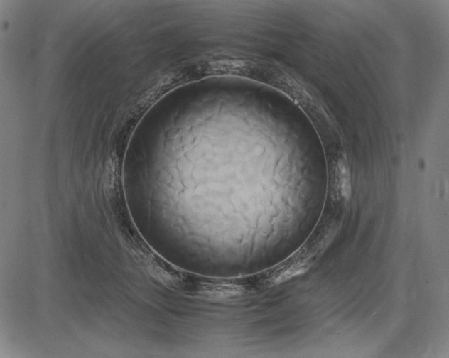 X0000083620463200702121145