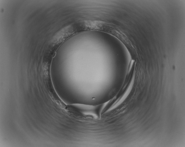 X0000083620466200702121145