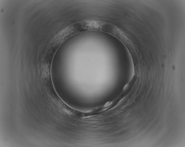 X0000083620467200702121145