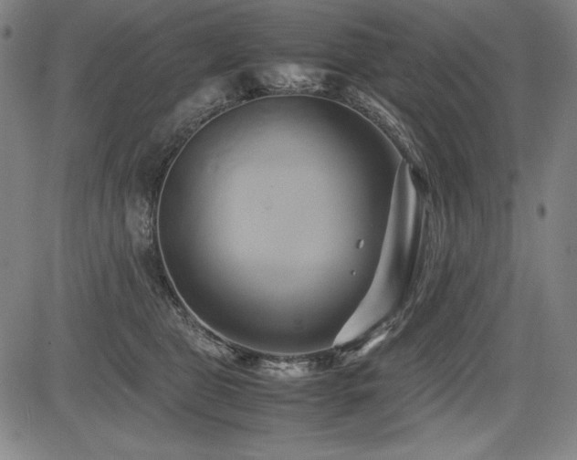 X0000083620469200702121145