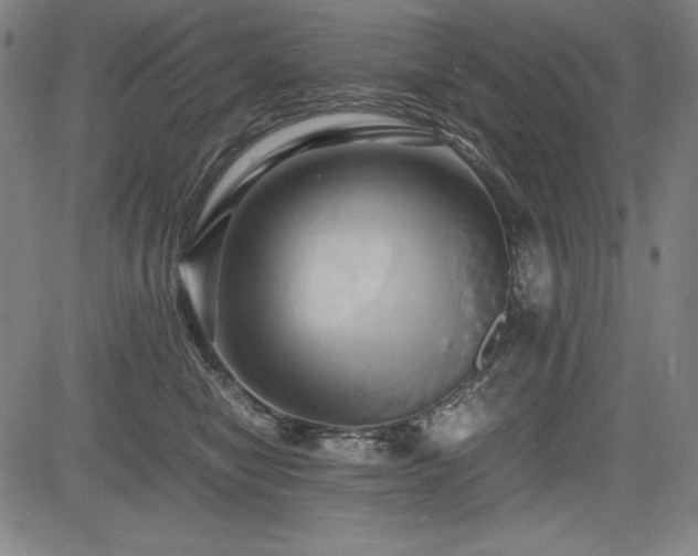 X0000083620470200702121145