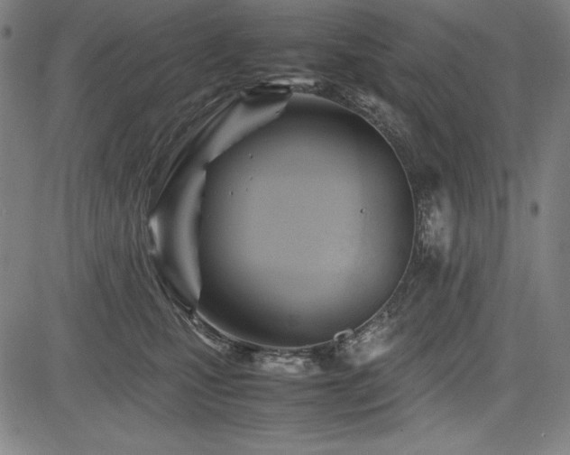 X0000083620471200702121145